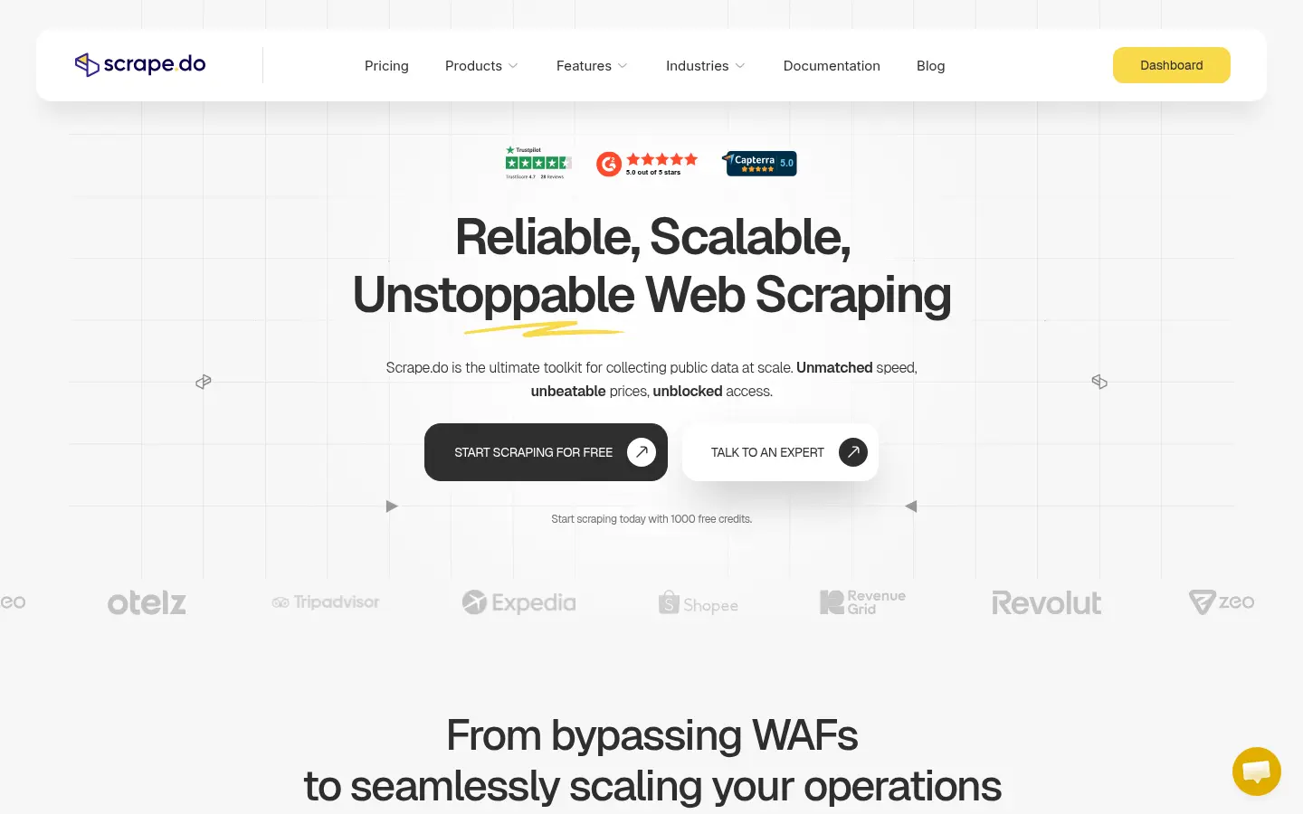 Scrape.do homepage screenshot
